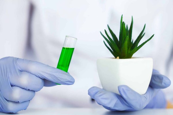 Quels sont les métiers en rapport avec l’environnement ?